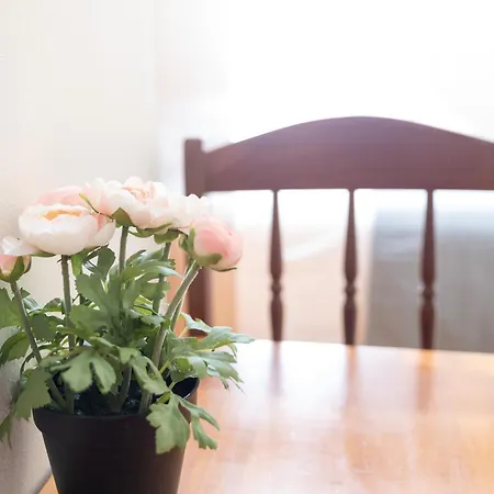 A Codeseira Guest house