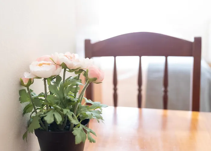 A Codeseira Πανσιόν